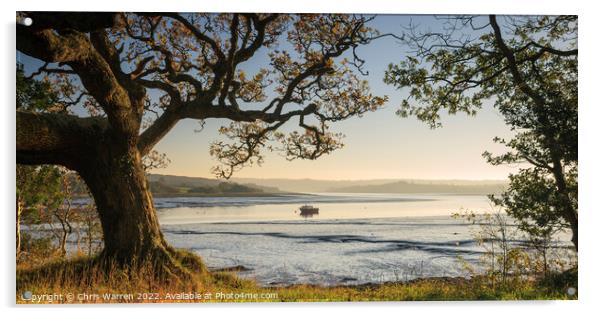River Daugleddau Lawrenny Pembrokeshire Wales Acrylic by Chris Warren