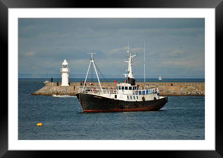 Trawler in Brixham Harbour Framed Mounted Print by graham young