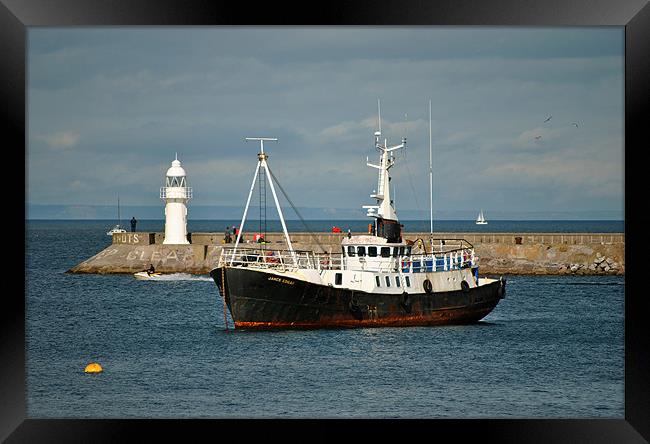 Trawler in Brixham Harbour Framed Print by graham young