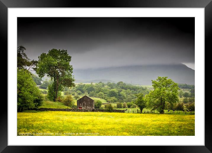 Lake District Landscape Framed Mounted Print by Heidi Stewart