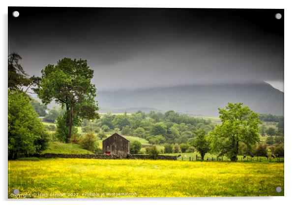 Lake District Landscape Acrylic by Heidi Stewart