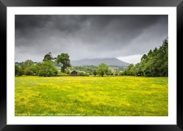 Lake District Landscape Framed Mounted Print by Heidi Stewart