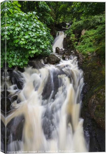 Falls at Thirlmere  Canvas Print by Heidi Stewart