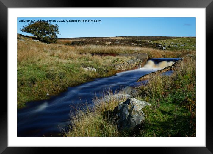 ON THE MOORS Framed Mounted Print by andrew saxton