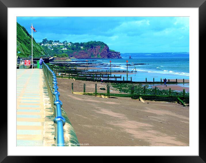 A view from Teignmouth promenade. Framed Mounted Print by john hill