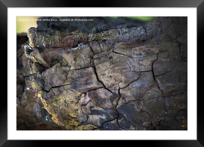 Colours of decaying wood Framed Mounted Print by Kevin White