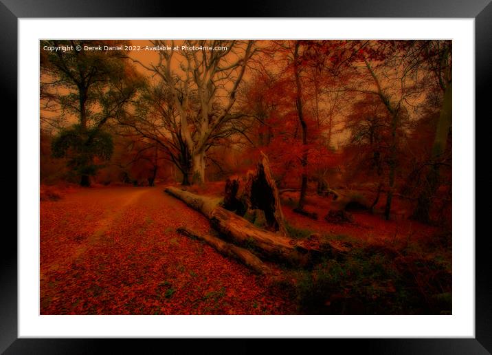Enchanted Autumn Forest Framed Mounted Print by Derek Daniel