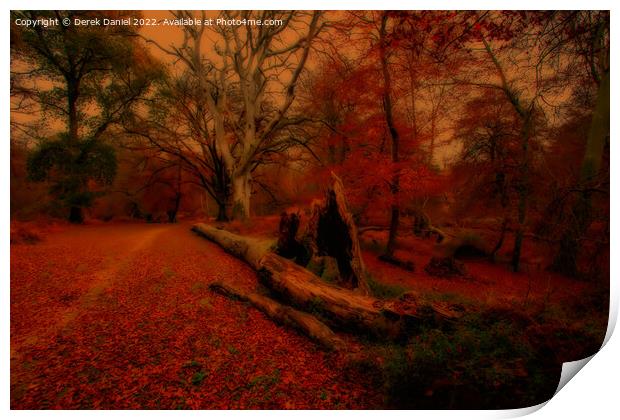 Enchanted Autumn Forest Print by Derek Daniel