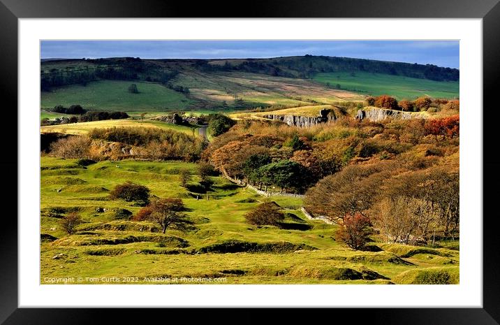 Derbyshire Dales near Buxton Framed Mounted Print by Tom Curtis