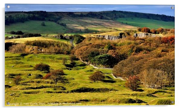 Derbyshire Dales near Buxton Acrylic by Tom Curtis