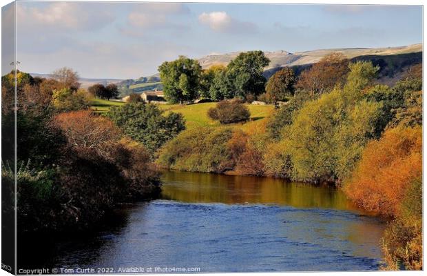 River Ure near Hawes Canvas Print by Tom Curtis