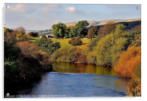 River Ure near Hawes Acrylic by Tom Curtis