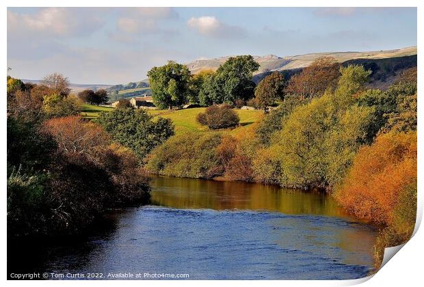 River Ure near Hawes Print by Tom Curtis