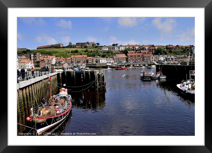 Whitby Harbour North Yorkshire Framed Mounted Print by Tom Curtis