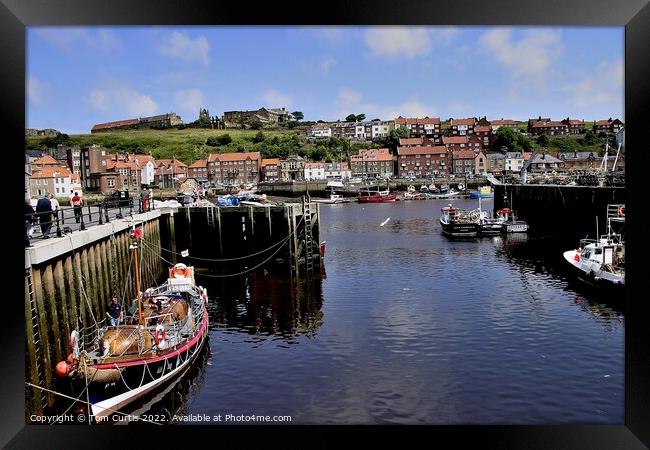 Whitby Harbour North Yorkshire Framed Print by Tom Curtis