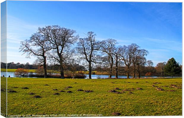 Trees and Moles By The Lake Canvas Print by GJS Photography Artist