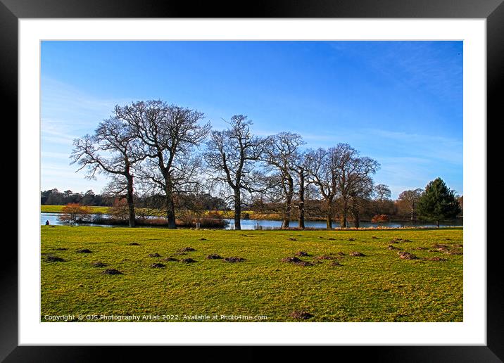Trees and Moles By The Lake Framed Mounted Print by GJS Photography Artist