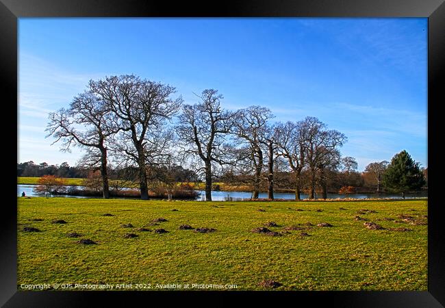 Trees and Moles By The Lake Framed Print by GJS Photography Artist