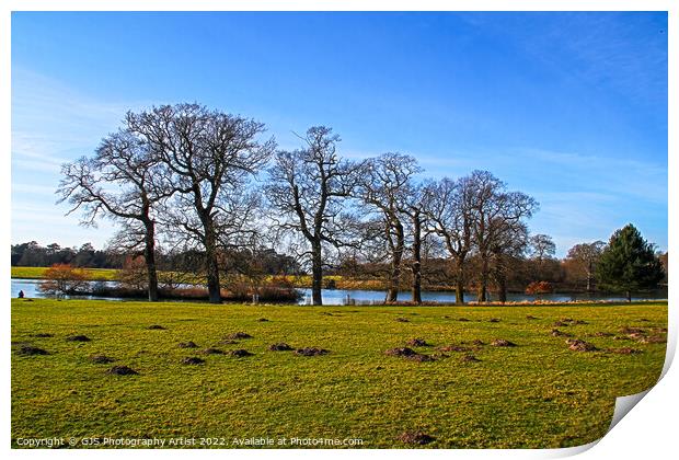 Trees and Moles By The Lake Print by GJS Photography Artist