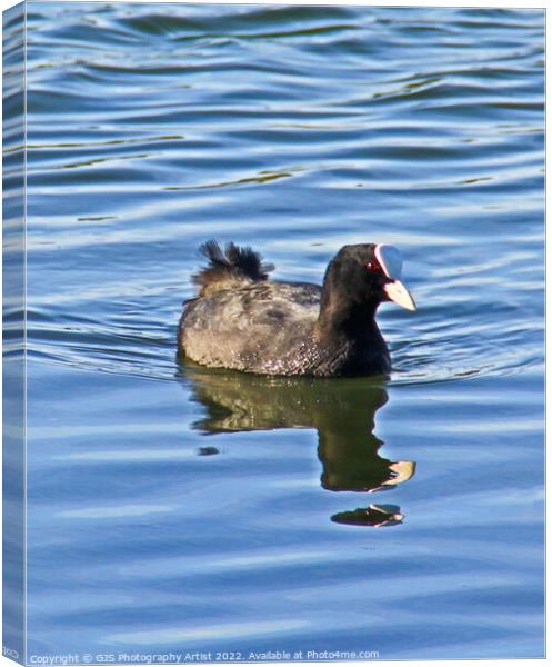 Moorhen  Reflection and Ripples Canvas Print by GJS Photography Artist
