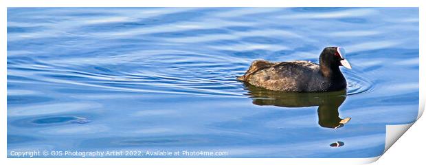 Moorhen Ripples and Reflects Print by GJS Photography Artist