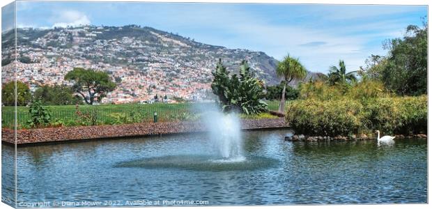 Funchal Madeira Park Panoramic Canvas Print by Diana Mower