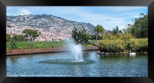 Funchal Madeira Park Panoramic Framed Print by Diana Mower