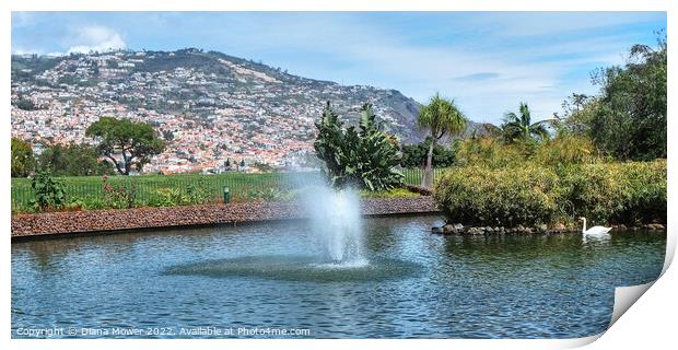 Funchal Madeira Park Panoramic Print by Diana Mower