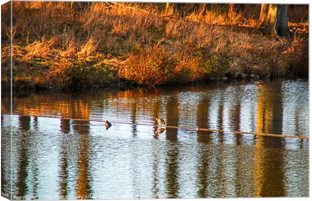Ripples and Reflections Canvas Print by GJS Photography Artist