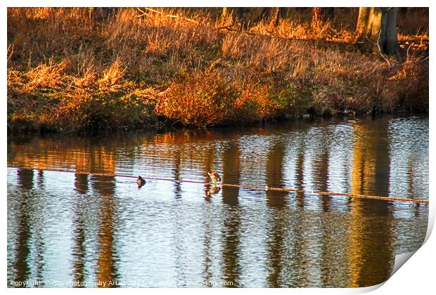Ripples and Reflections Print by GJS Photography Artist