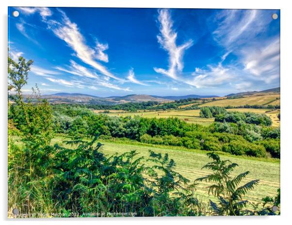 Rolling Hills and Lush Pasture Acrylic by Roger Mechan