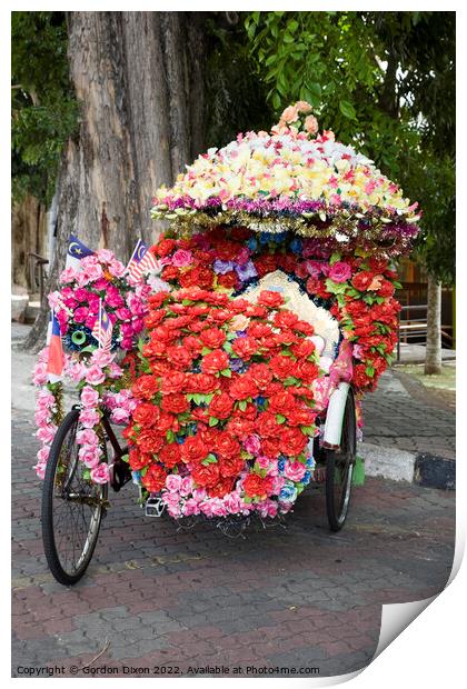 Eccentric floral decorations on pedal powered trishaw - Melaka. Malaysia Print by Gordon Dixon