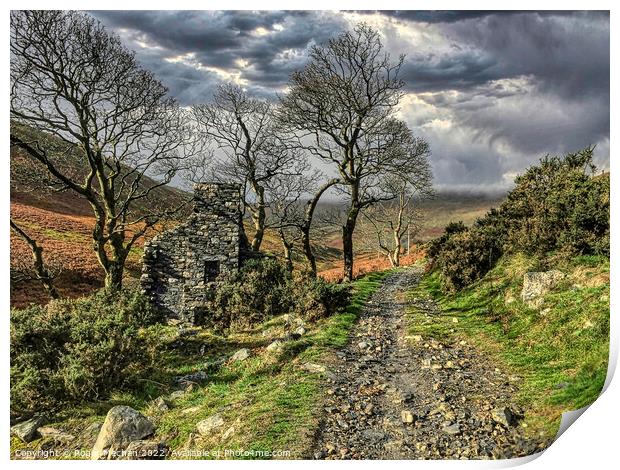 Desolate Laxey Mine Valley Print by Roger Mechan