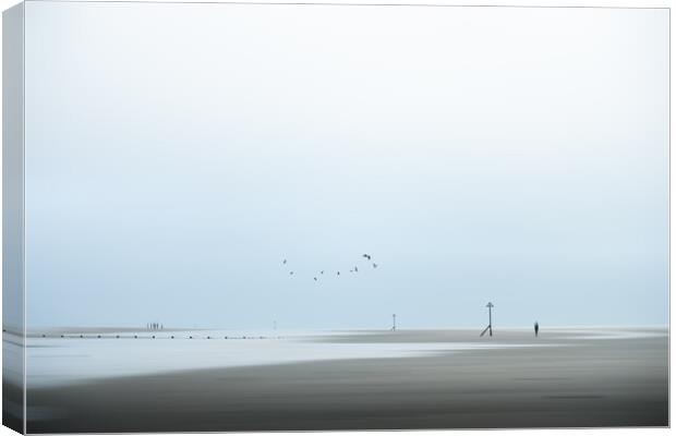 Abstract Beach, West Wittering Canvas Print by Mark Jones