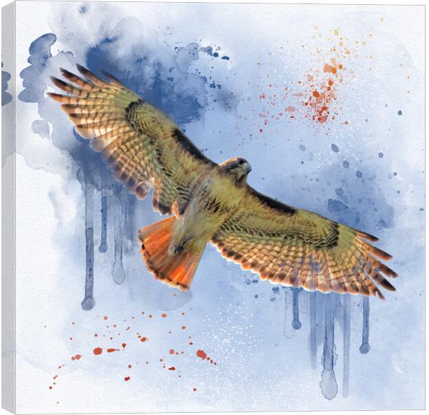 The Hunter - watercolor Canvas Print by Donna Kennedy