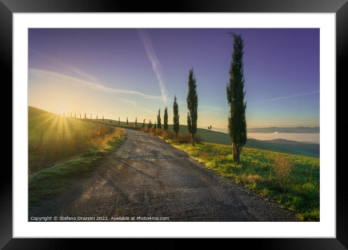 Volterra landscape, tree-lined road at sunrise Framed Mounted Print by Stefano Orazzini
