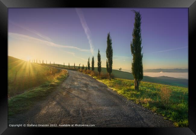 Volterra landscape, tree-lined road at sunrise Framed Print by Stefano Orazzini
