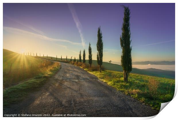 Volterra landscape, tree-lined road at sunrise Print by Stefano Orazzini