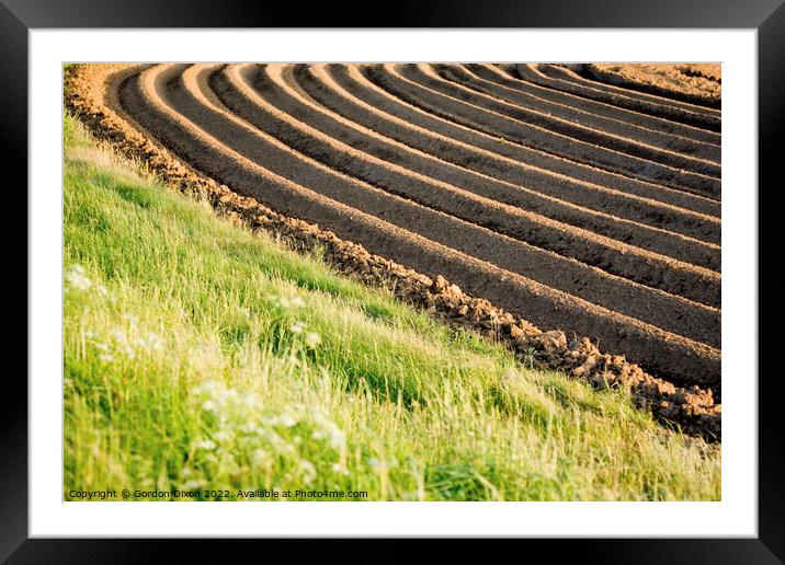 Ploughed field with sunlight emphasising the furrows Framed Mounted Print by Gordon Dixon