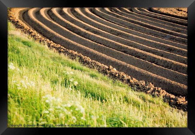 Ploughed field with sunlight emphasising the furrows Framed Print by Gordon Dixon