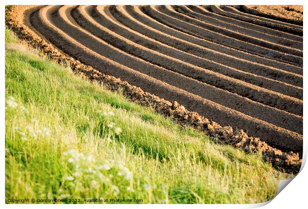 Ploughed field with sunlight emphasising the furrows Print by Gordon Dixon