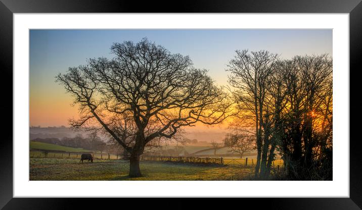 January Sunrise Framed Mounted Print by David Tinsley