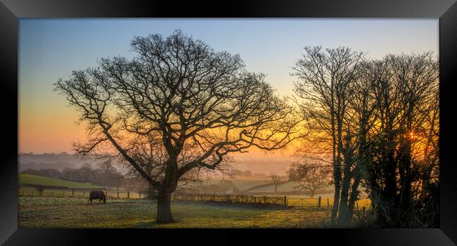 January Sunrise Framed Print by David Tinsley