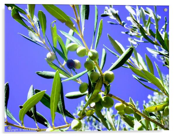 Corfu Olive Branches  Acrylic by Nick Edwards