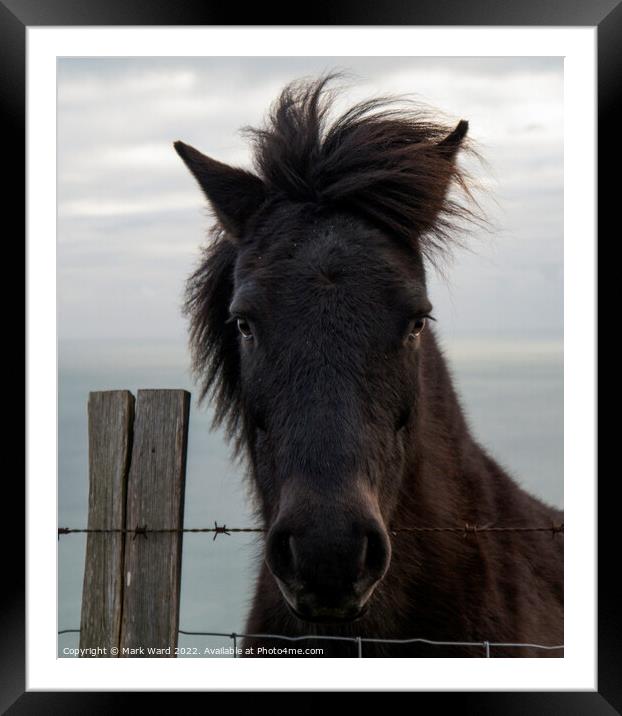 Portrait of a Pony with a Somerset Accent Framed Mounted Print by Mark Ward