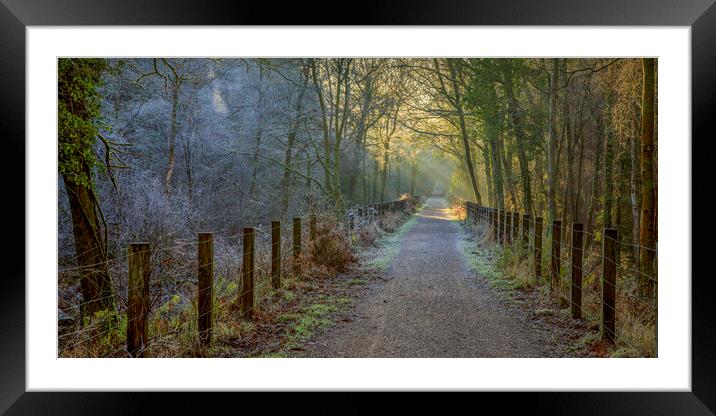 January Walk Framed Mounted Print by David Tinsley
