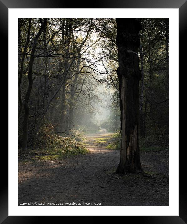 A woodland path Framed Mounted Print by Sarah Hicks