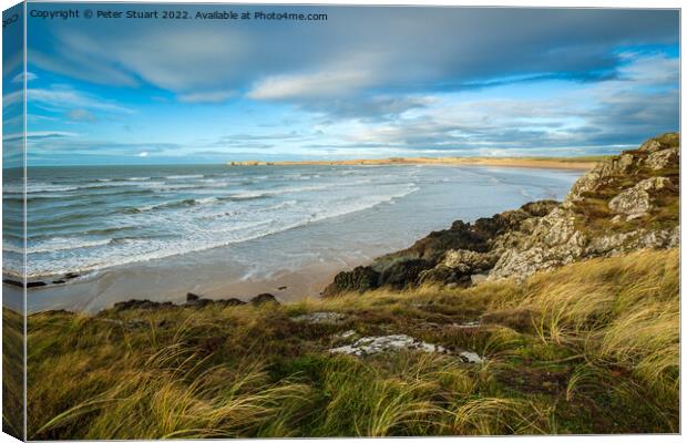 Llanddwyn Bay on the  Isle of Anglesey  Canvas Print by Peter Stuart