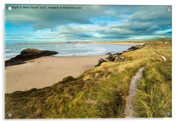 Malltraeth Bay on the  Isle of Anglesey  Acrylic by Peter Stuart