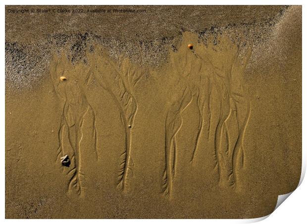 Ripples in the sand Print by Stuart C Clarke